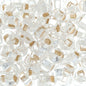 Czech Seed Beads - 2/0 - Silver Lined Crystal 22g