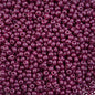 Czech Seed Beads - 6/0 - Permalux Purple (Tube)