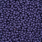 Czech Seed Beads - 6/0 - Permalux Dark Violet (Tube)