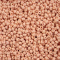 Czech Seed Beads - 6/0 - Permalux Apricot Matte (Tube)