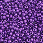 Czech Seed Beads - 8/0 - Metallic Purple (22g)