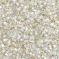 Czech Seed Beads - 10/0 - Silver Lined Crystal (22g)