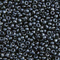 Czech Seed Beads - 10/0 - Metallic Gunmetal (22g)