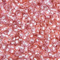 Czech Seed Beads - 10/0 - Transparent Pink Mix Silver Lined (22g)