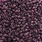 Czech Seed Beads - 10/0 - Transparent Amethyst (22g)