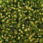 Czech Seed Beads - 10/0 - Copper Lined Green (22g)