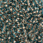 Czech Seed Beads - 10/0 - Copper Lined Aqua (22g)