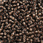 Czech Seed Beads - 10/0 - Copper Lined Black Diamond (22g)