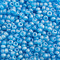Czech Seed Beads - 10/0 - Transparent Turquoise Matte AB (22g)