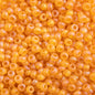 Czech Seed Beads - 10/0 - Transparent Gold Yellow Matte AB (22g)