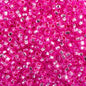 Czech Seed Beads - 10/0 - Silver Lined Fuchsia Dyed (22g)
