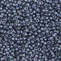 Czech Seed Beads - 10/0 - Transparent Luster Black Diamond (22g)