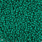 Czech Seed Beads - 10/0 - Terra Intensive Dark Green (22g)