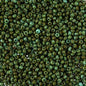 Czech Seed Beads - 10/0 - Turquoise Travertine (22g)