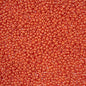 Czech Seed Beads - 10/0 - Permalux Orange (22g)