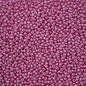 Czech Seed Beads - 10/0 - Permalux Violet (22g)