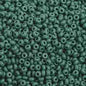 Czech Seed Beads - 10/0 - Dark Green (hank)