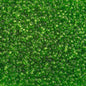 Czech Seed Beads - 10/0 - Transparent Light Green (hank)
