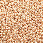 Czech Seed Beads - 10/0 - Gold Metallic [Solgel] (hank)