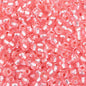 Czech Seed Beads - 6/0 - Silver Lined Pink [Solgel] (20g)