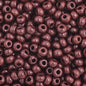 Czech Seed Beads - 11/0 - Opaque Dark Brown (23g)