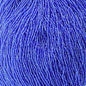 Czech Seed Beads - 11/0 - Silver lined Dark Blue (hank)