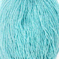 Czech Seed Beads - 11/0 - Colour Lined Turquoise (hank)