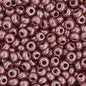 Czech Seed Beads - 11/0 - Opaque Brown Luster (23g)