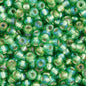 Czech Seed Beads - 11/0 - Silver Lined Green Rainbow (23g)