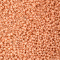 Czech Seed Beads - 11/0 - Dyed Chalk Light Orange Solgel (23g)