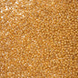Czech Seed Beads - 11/0 - Permalux Yellow-Brown (Tube)