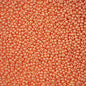 Czech Seed Beads - 11/0 - Permalux Apricot (Tube)
