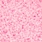 Cylin Bead - 11/0 - Matte Macaron - Dark Pink (25g)