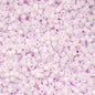 Cylin Bead - 11/0 - Matte Macaron - Pastel Lilac (25g)