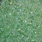 Delica 11/0 Hex-cut Beads - db0060c - Lime Lined Crystal AB 7.1g