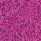 Delica 11/0 Beads - db2050 - Luminous Jazzberry 5.2g