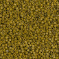 Delica 11/0 Beads - db2141 - Mustard Pickle [Duracoat] 5.2g