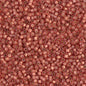 Delica 11/0 Beads - db2178 - Duracoat Silver Lined Papaya 7.1g