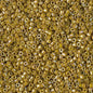 Delica 11/0 Beads - db2272 - Opaque Glazed Yellow Mustard AB 5.2g