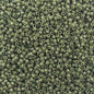 Delica 11/0 Beads - db2357 - Forest Green [Duracoat] 5.2g