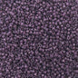 Delica 11/0 Beads - db2360 - Graphite Purple [Duracoat] 5.2g