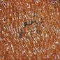 Delica 10/0 Beads - dbm0054 - Peach Lined AB Dyed 7.2g