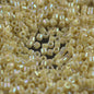 Delica 10/0 Beads - dbm0157 - Opaque Cream AB 5.2g