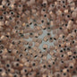 Delica 10/0 Beads - dbm0191 - Copper Lined Opal 5.2g