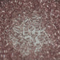 Delica 10/0 Beads - dbm0711 - Transparent Smokey Amethyst 7.5g