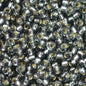 Miyuki Seed Beads 11/0 - mb11-0021 - Silver Lined Grey 10g