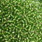 Miyuki Seed Beads 11/0 - mb11-0026 - Silver Lined Olive 10g