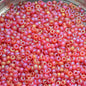 Miyuki Seed Beads 11/0 - mb11-0141FR - Matte Transparent Ruby AB 10g