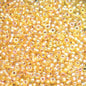 Miyuki Seed Beads 11/0 - mb11-1003 - Silver Lined Gold AB 22g