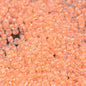 Miyuki Seed Beads 11/0 - mb11-4298 - Luminous Inside-Color Neon Orange /Crystal